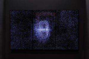 teamLab, <a href='/art-galleries/pace-gallery/' target='_blank'>Pace Gallery</a>, Frieze Los Angeles (15–17 February 2019). Courtesy Ocula. Photo: Charles Roussel.